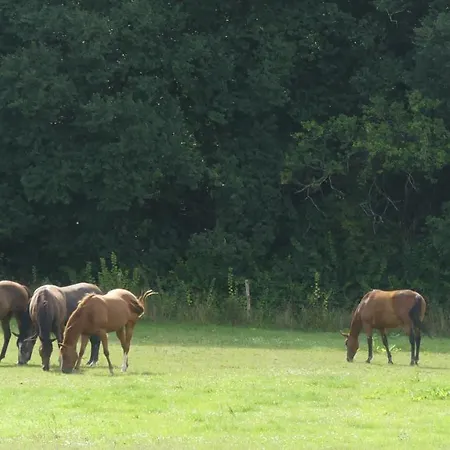 לינה וארוחת בוקר La Petite Lande