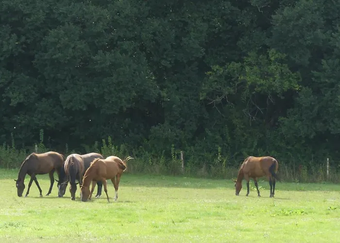 Couette-café La Petite Lande