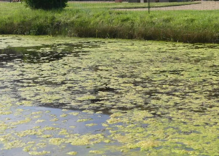 La Petite Lande 3* Ménil